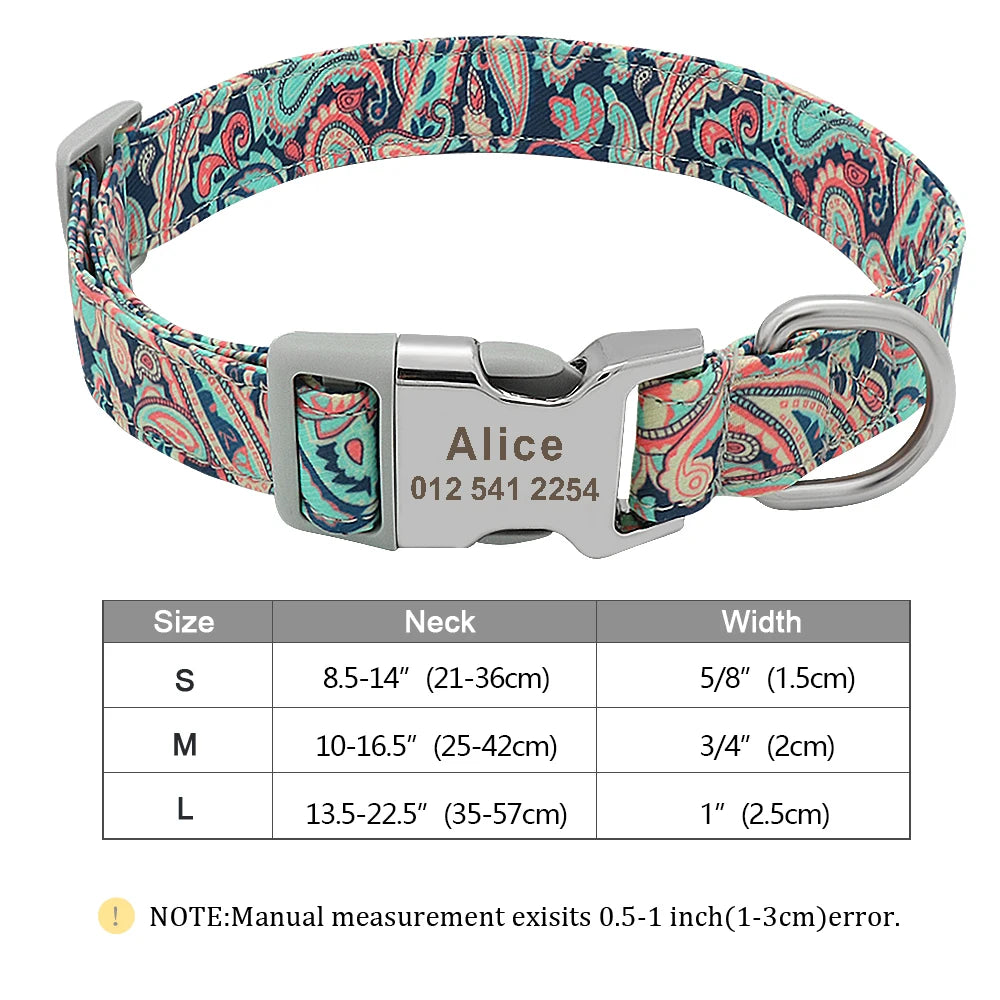 2025 Winter Collars