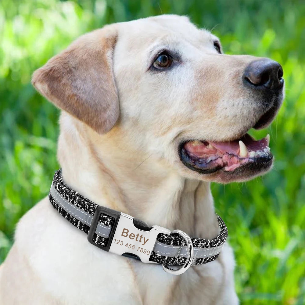 Night Reflective Collar