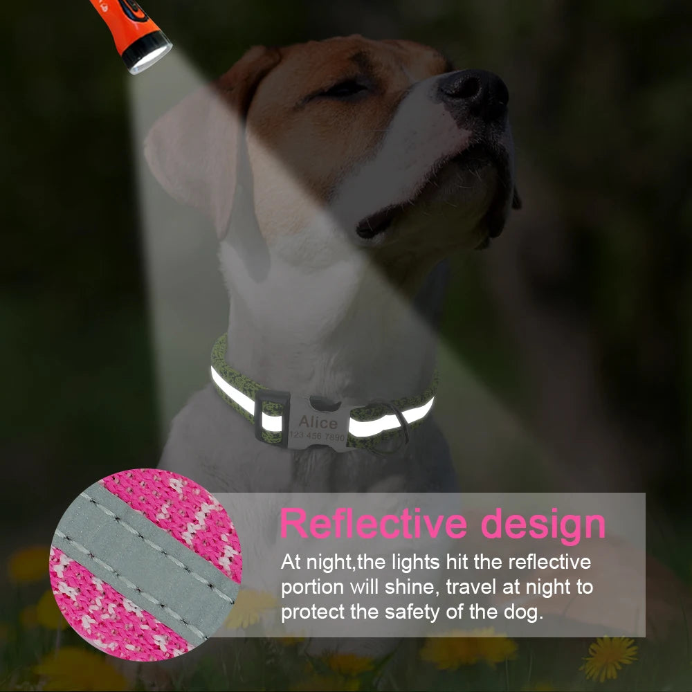 Night Reflective Collar